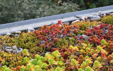 the cost of South Charlton green roof installation