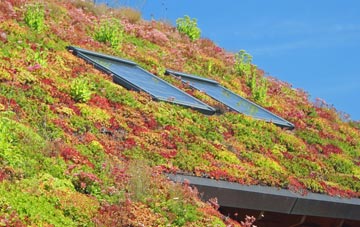 South Charlton living roof systems