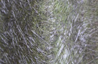 South Charlton fibreglass roof work